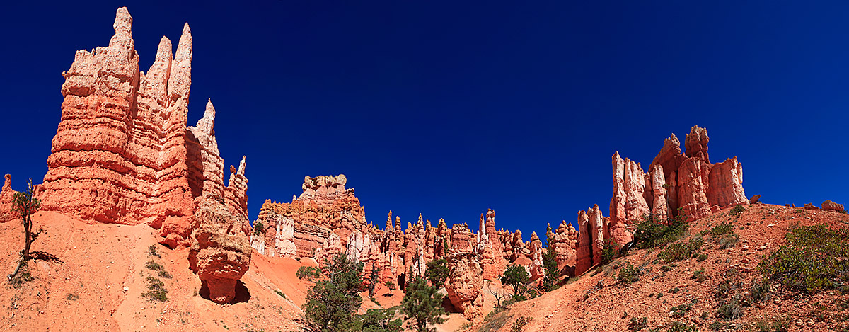 [Group-80]- MG 3366  MG 3371-6-images